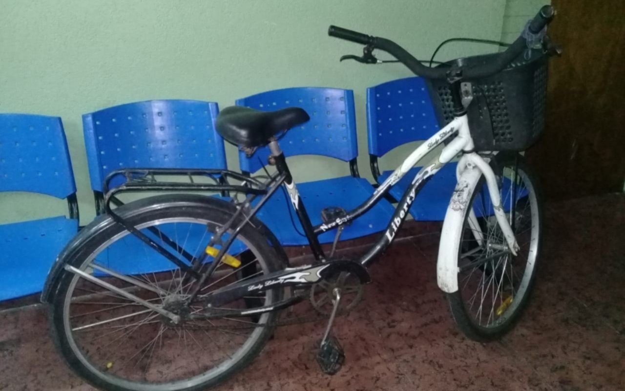 Forzaron un portón, robaron dos bicicletas y los detuvieron paseando