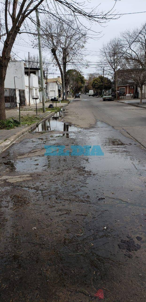 Preocupación en un sector de El Mondongo por una pérdida que "está ...