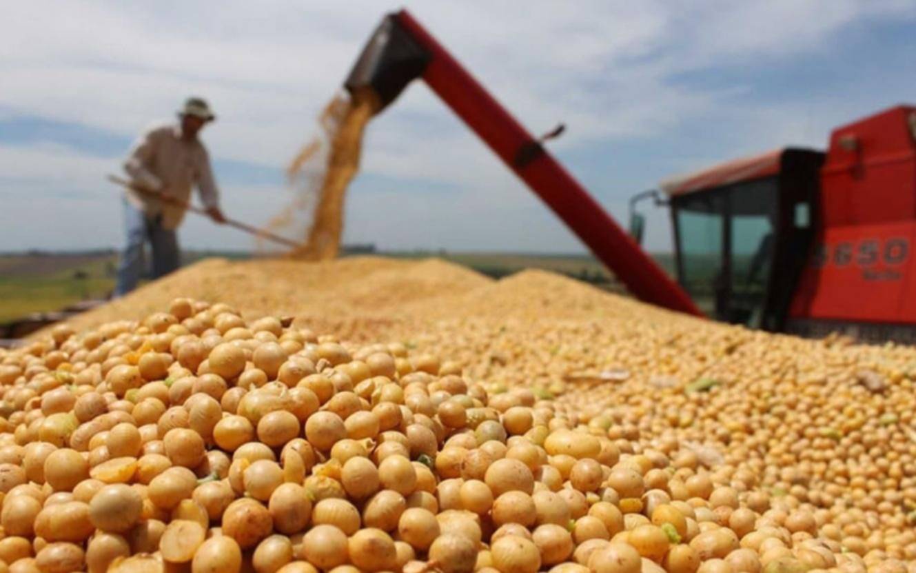 La soja alcanza su precio máximo desde comienzos de año