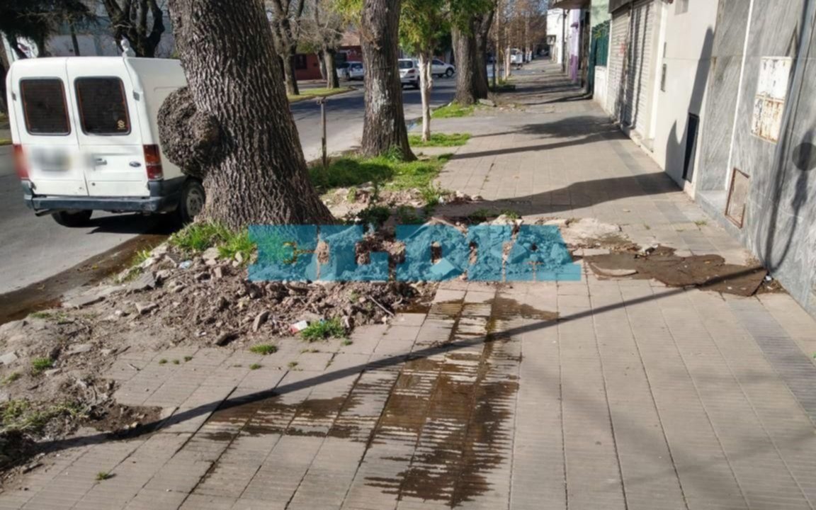 En diagonal 75 y 22, una pérdida y el verdín generan dolor de cabeza desde hace un año