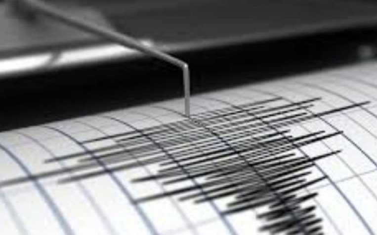 Un terremoto de 7,0 grados afectó a Chile y se sintió en Mendoza