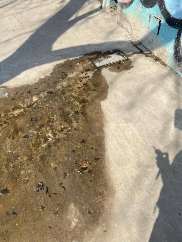"Todos los vecinos se caen", el drama por una pérdida de agua en 19 y 59
