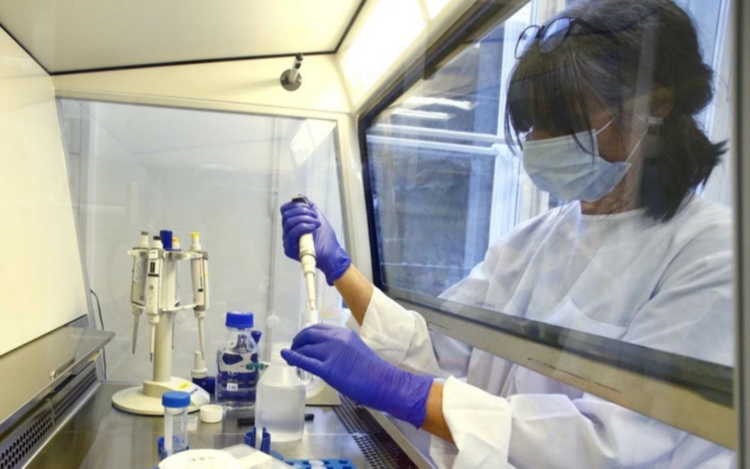 Descubren una cepa del coronavirus que podría ser 10 veces más contagiosa