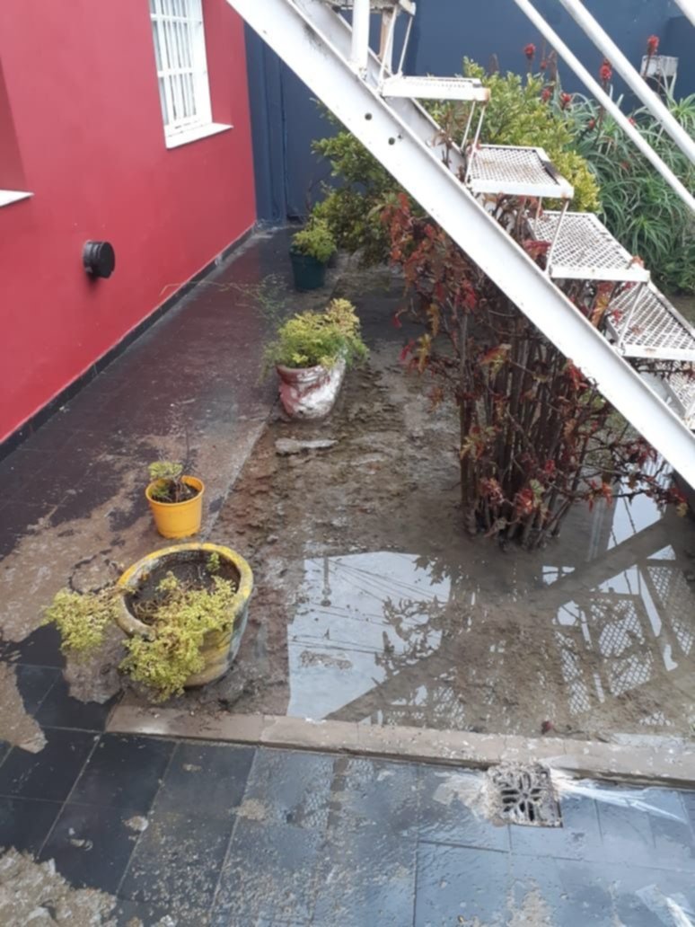 Un asco: deshechos cloacales esparcidos por todo el jardín