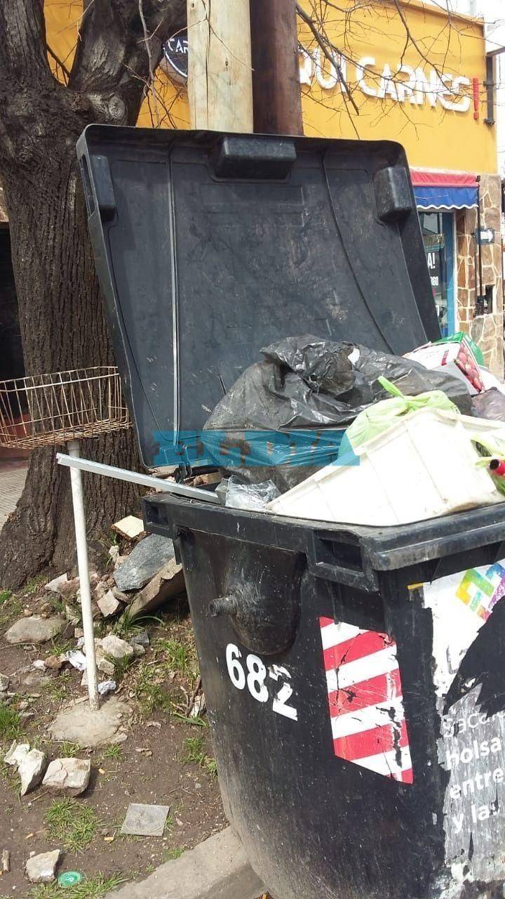 Preocupación en Gonnet por un contenedor repleto de basura: “Hay moscas, gusanos y ratas”