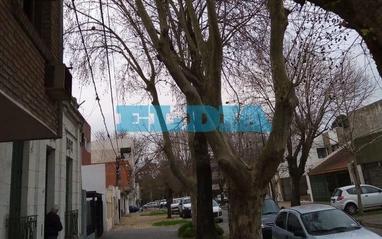 El drama de un vecino de El Mondongo que lleva 17 años reclamando la poda de tres árboles