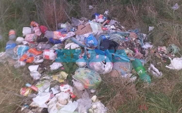 Hartazgo vecinal por un basural a cielo abierto en 194 y 72