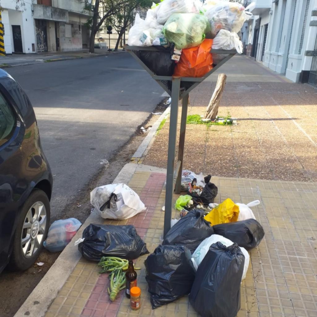 Piden recolección de basura en pleno centro platense