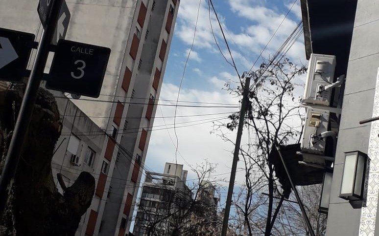 Piden remoción de un peligroso tronco en 3 y 50