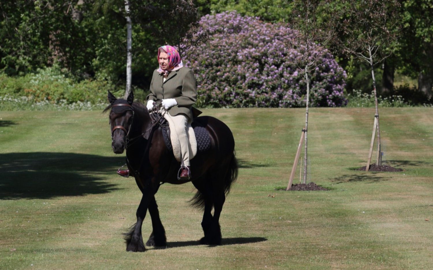La Reina de Inglaterra, entre el mundo virtual y su pasión por los caballos