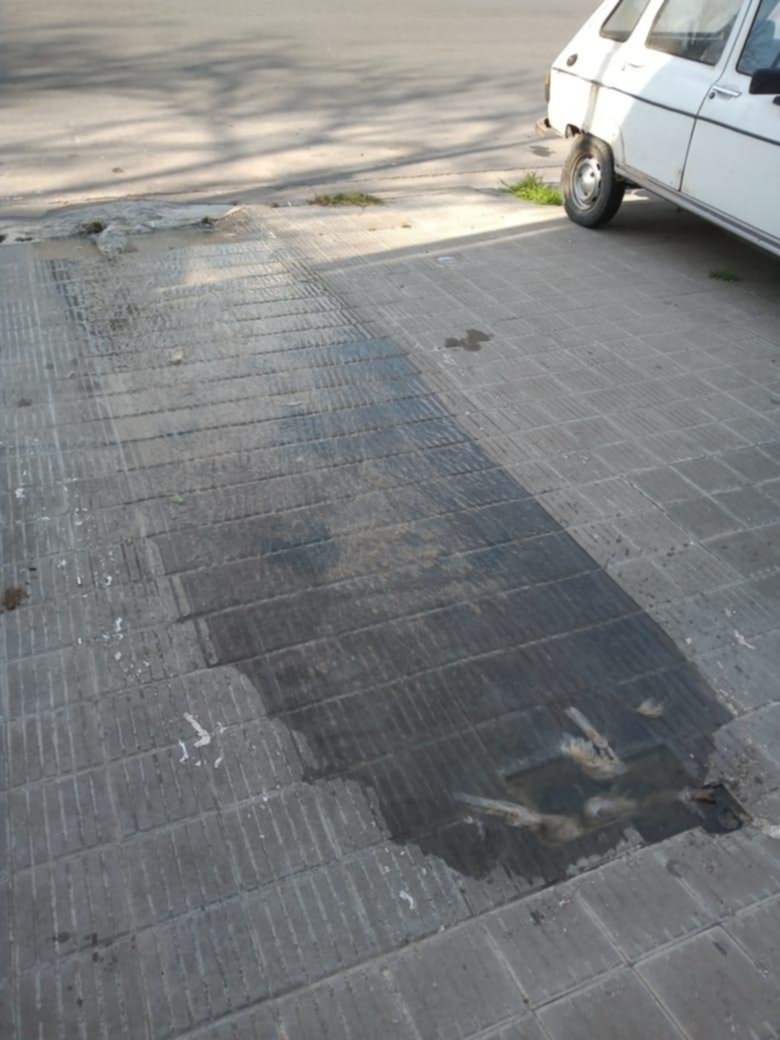Reclamo por un desborde cloacal en 1 entre 75 y 76