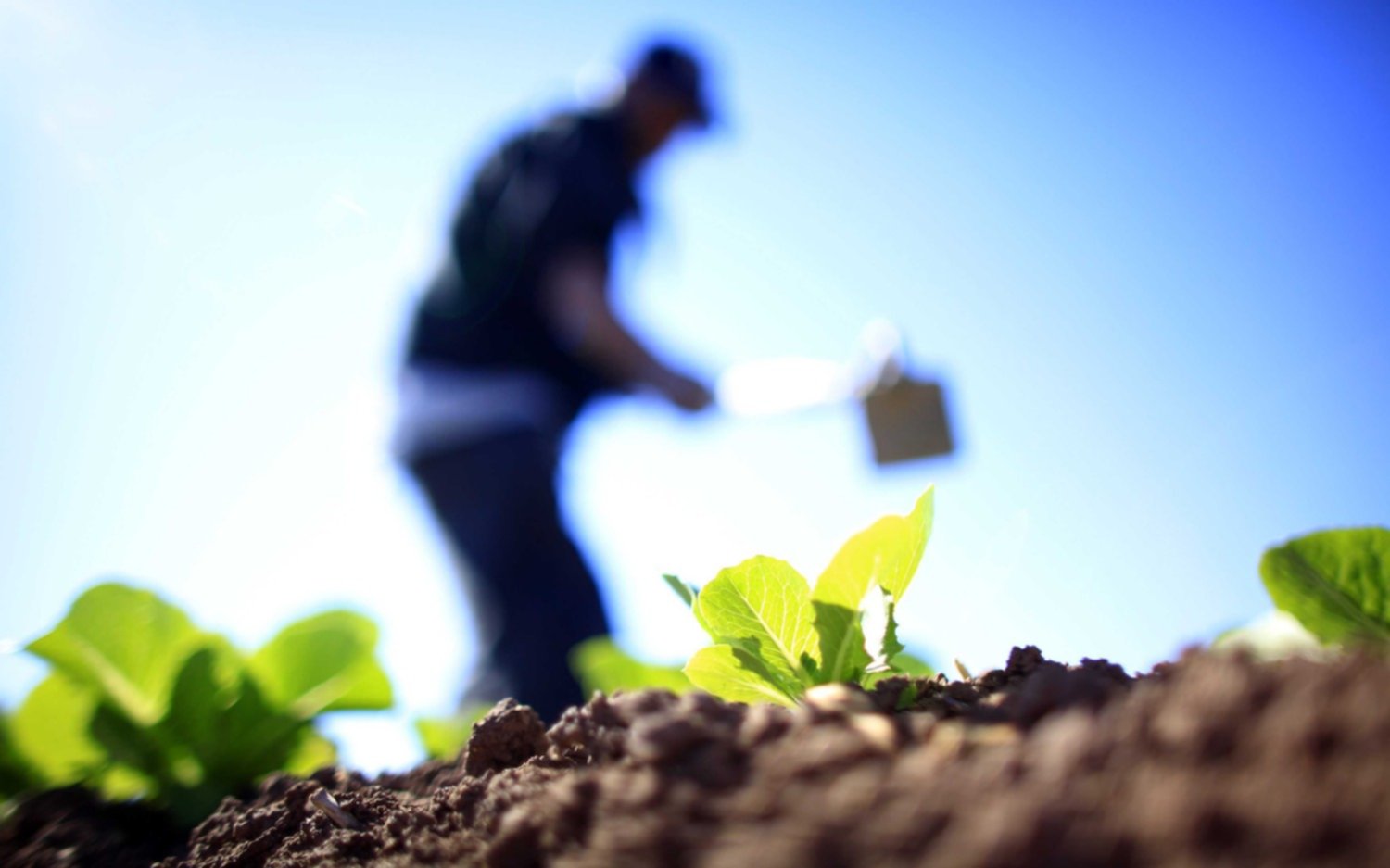 ¿Por qué el 8 de septiembre se celebra el Día del Agricultor?