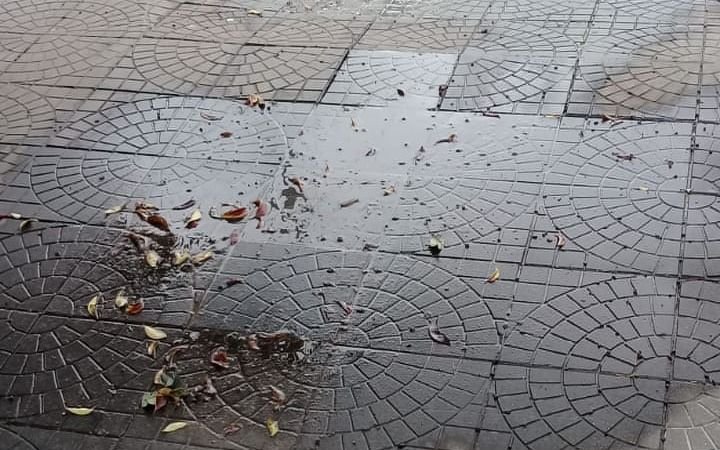 Afirma que ya hizo más de 15 reclamos  por una pérdida de agua en 30 y 74