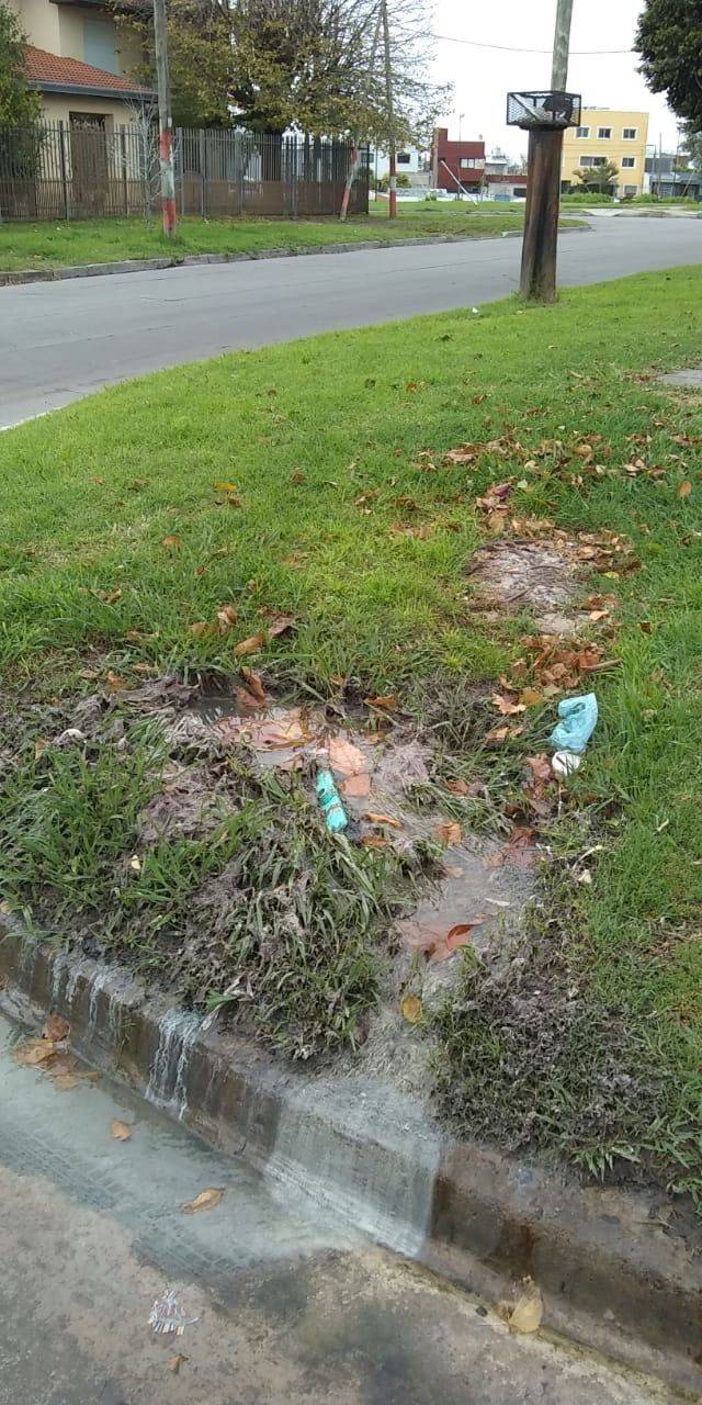 Desechos cloacales sobre la vereda en Barrio Jardín