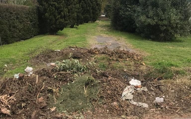 Vecino de City Bell denuncia que le bloquearon  la entrada con restos de poda