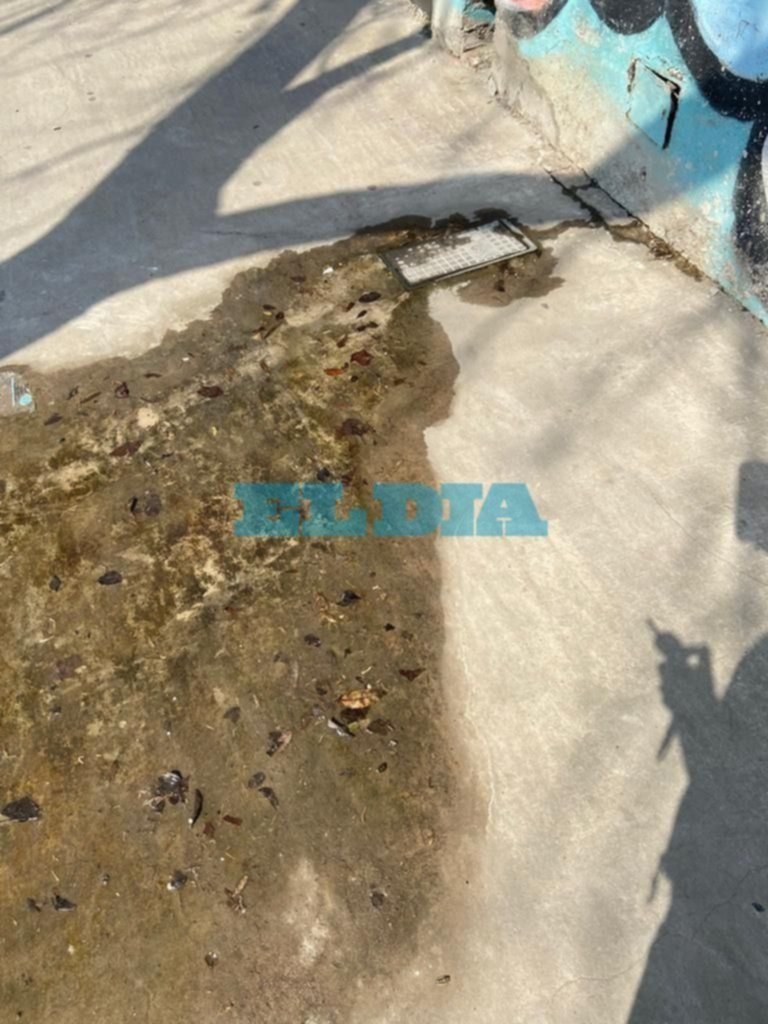 En 19 y 59 reclaman por una pérdida de agua que genera baja presión en las casas