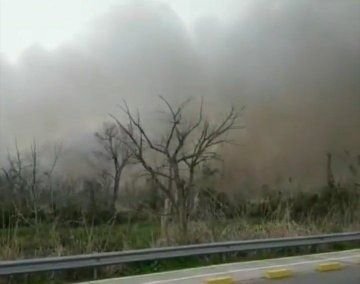 Un incendio afectó unas 20 hectáreas de humedales en la Reserva Natural de Hudson