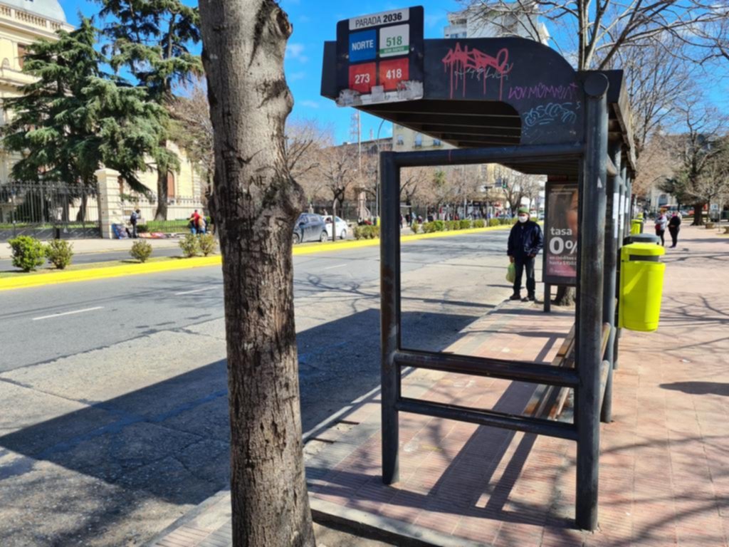 Tras “amagar” con un paro de micros por 48 horas, levantan la medida en un compás de espera