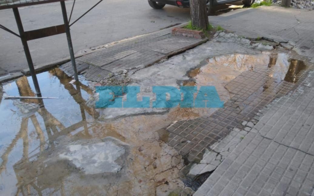 Vecinos de 59 y 21 denuncian que una pérdida de agua "levantó" la vereda