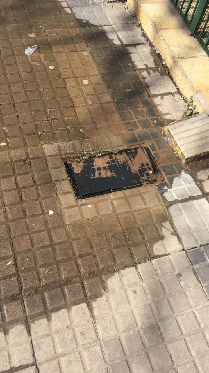 "Cientos de litros en la calle", la queja por una pérdida de agua en 17 y 48