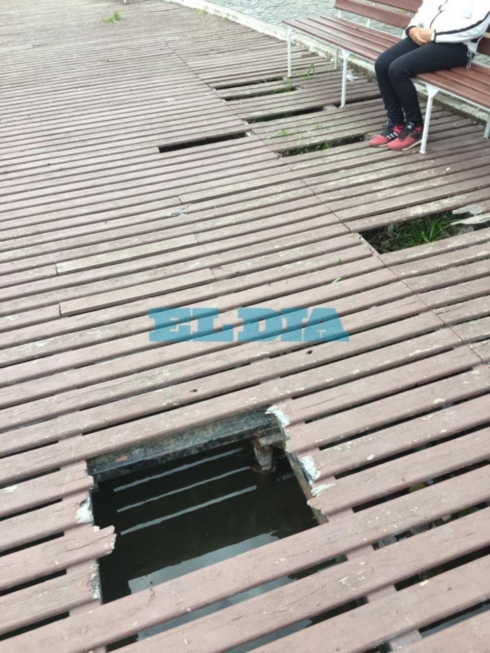 Advierten sobre riego de accidente por huecos en un transitado deck de parque Saavedra