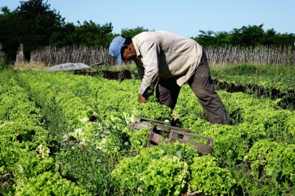 Cayó la brecha de precios entre los productores y las góndolas
