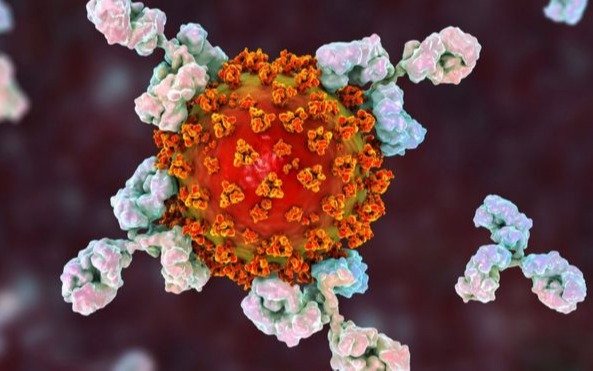 Reino Unido probará un nuevo tratamiento de anticuerpos en pacientes con COVID-19