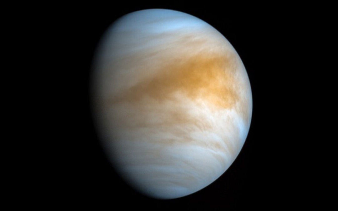 No estamos solos: encontraron indicios de vida en Venus