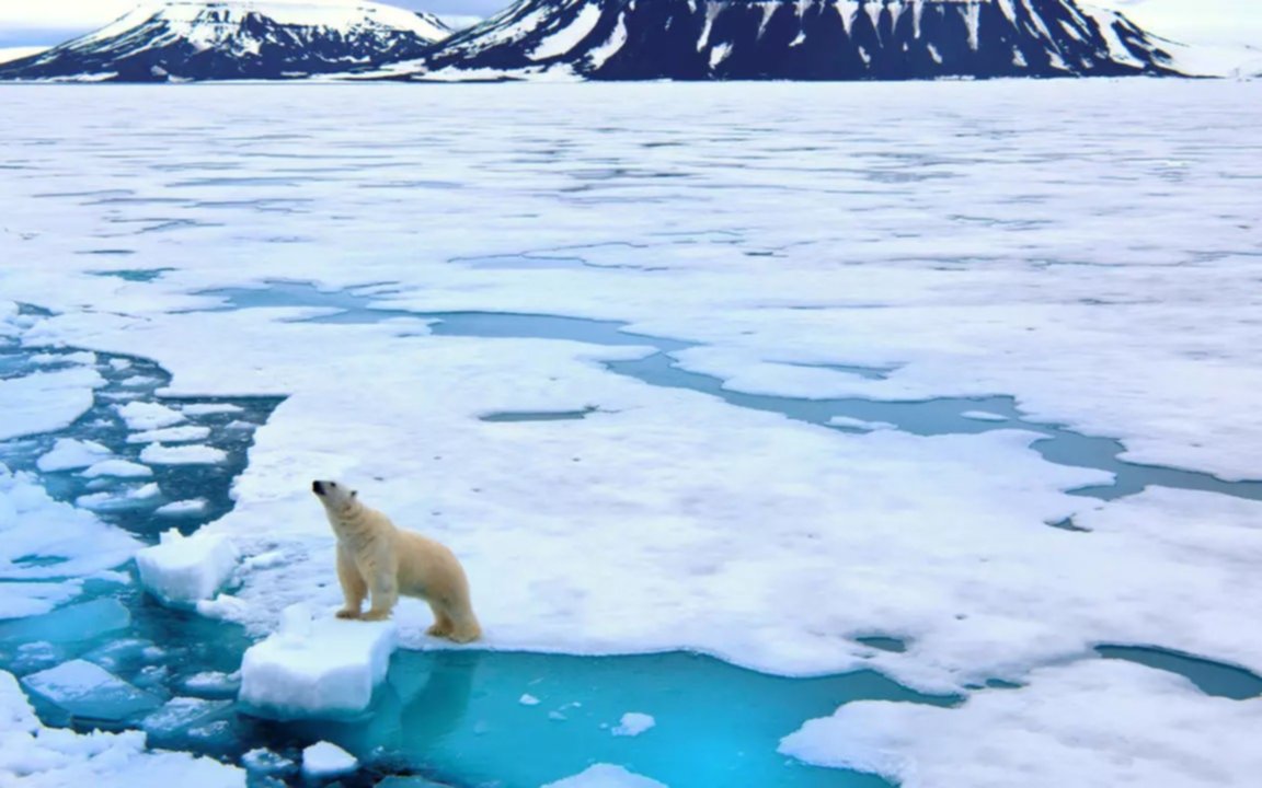 El Ártico, hacia un nuevo tipo de clima: la capa de hielo marino bajó a un 31% su mínimo anual