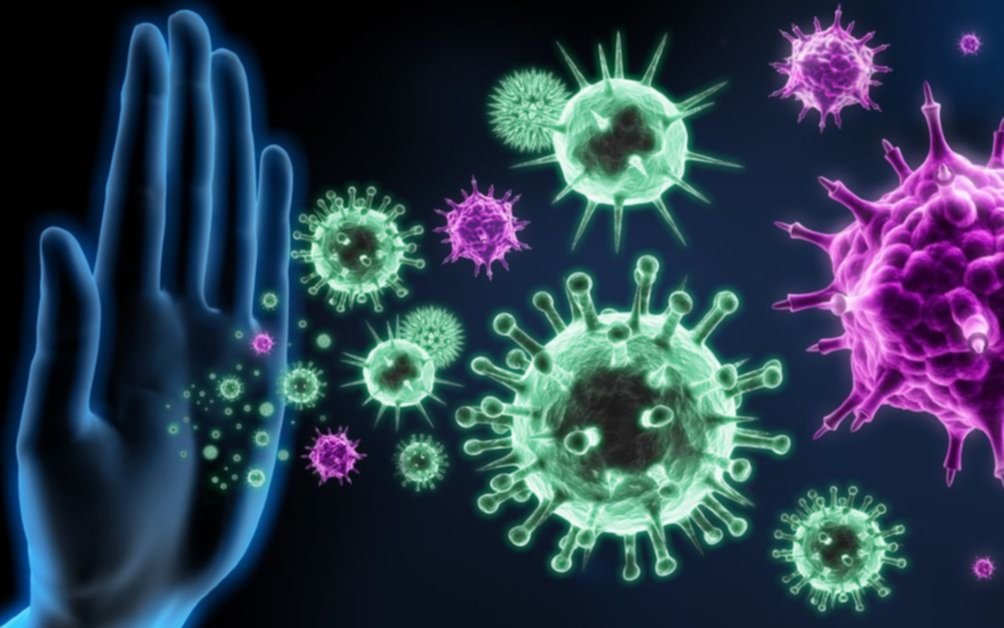 La OMS advirtió que aumentó la probabilidad de que nuevos virus animales afecten a humanos