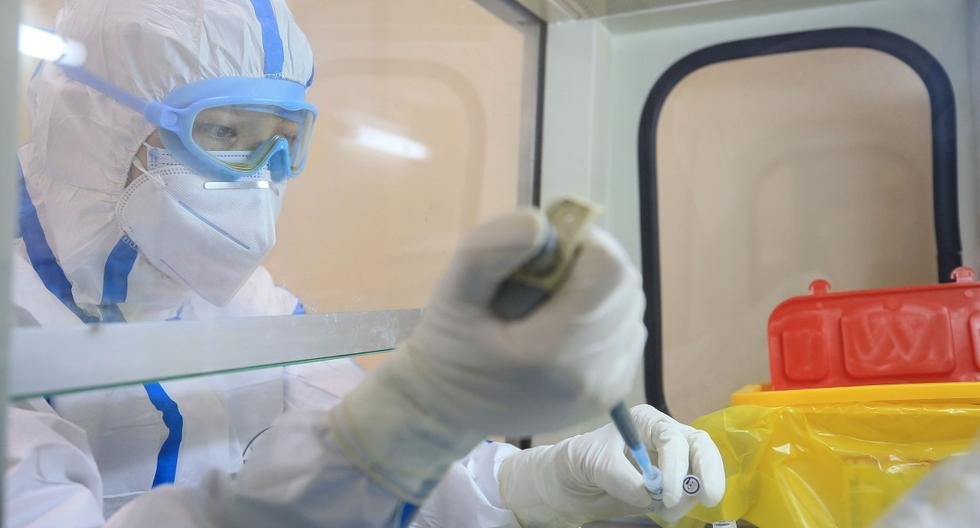 Se escapó una bacteria en China y ahora hay más de 3 mil enfermos de brucelosis