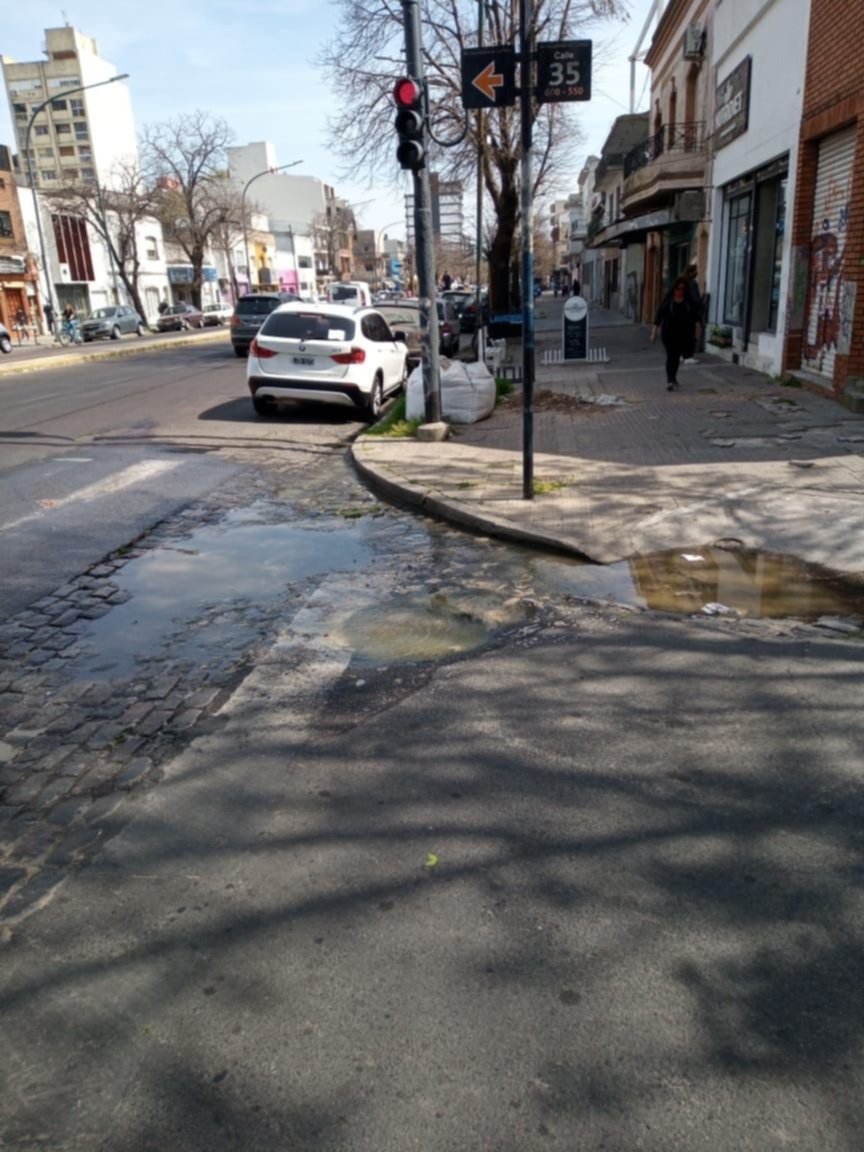 Otra esquina con desbordes y olores nauseabundos en La Plata