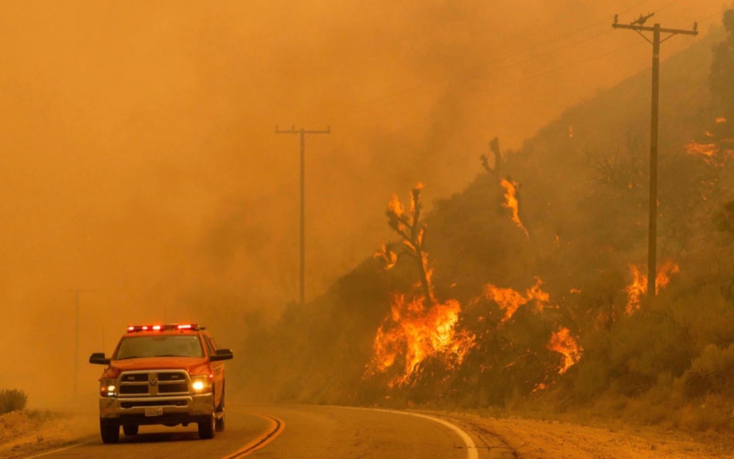 California prohibirá la venta de automóviles a gasolina pensando en el cambio climático