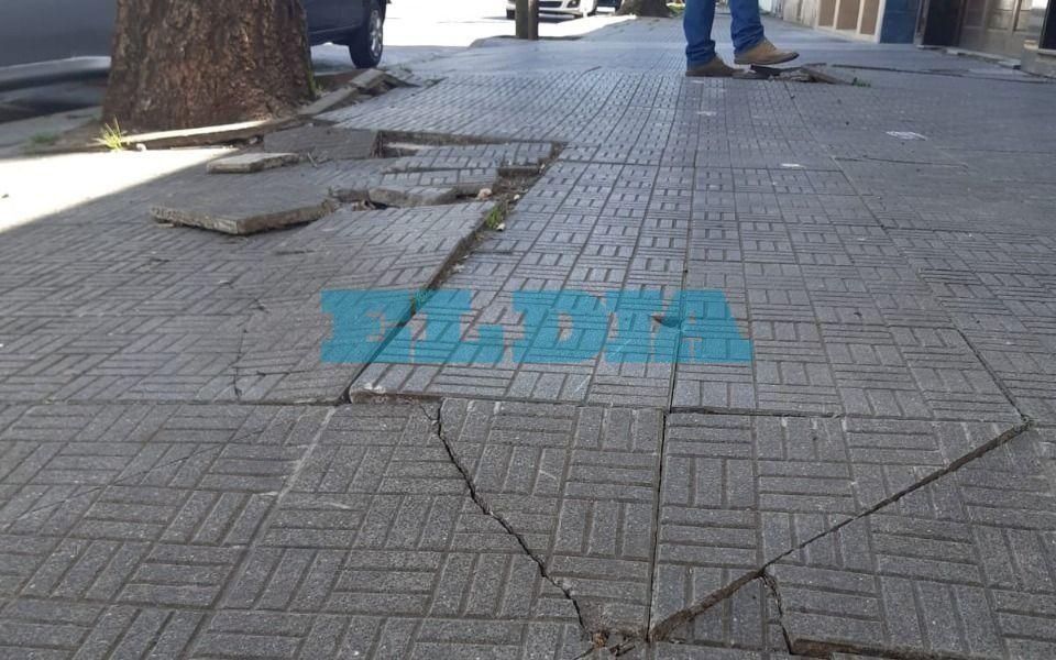 Denuncian veredas rotas y un árbol que amenaza con desplomarse en 3, entre 69 y 70