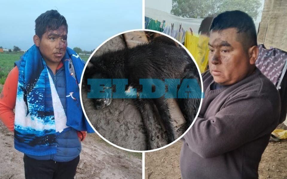 Dramático asalto a familia de quinteros: mataron tres perros, los golpearon y se robaron una Amarok