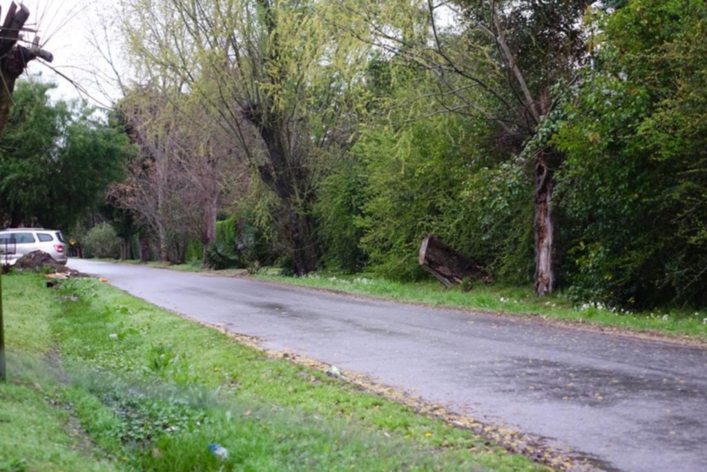 Aterradores golpes comando en propiedades de La Plata