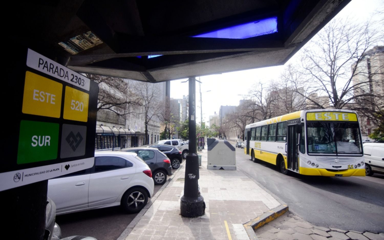 En Provincia el transporte también será gratuito durante las elecciones