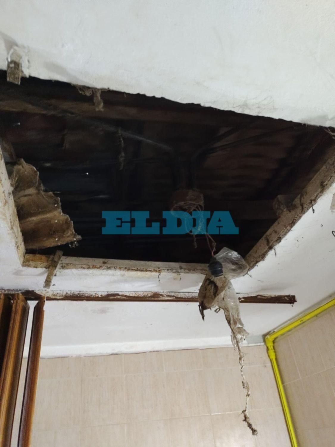 Noche de terror para una familia de B. Aeropuerto: cuatro ladrones entraron a las patadas