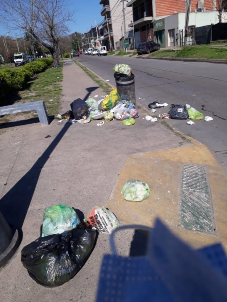 Reclamo por acumulación de basura en una calle de Tolosa