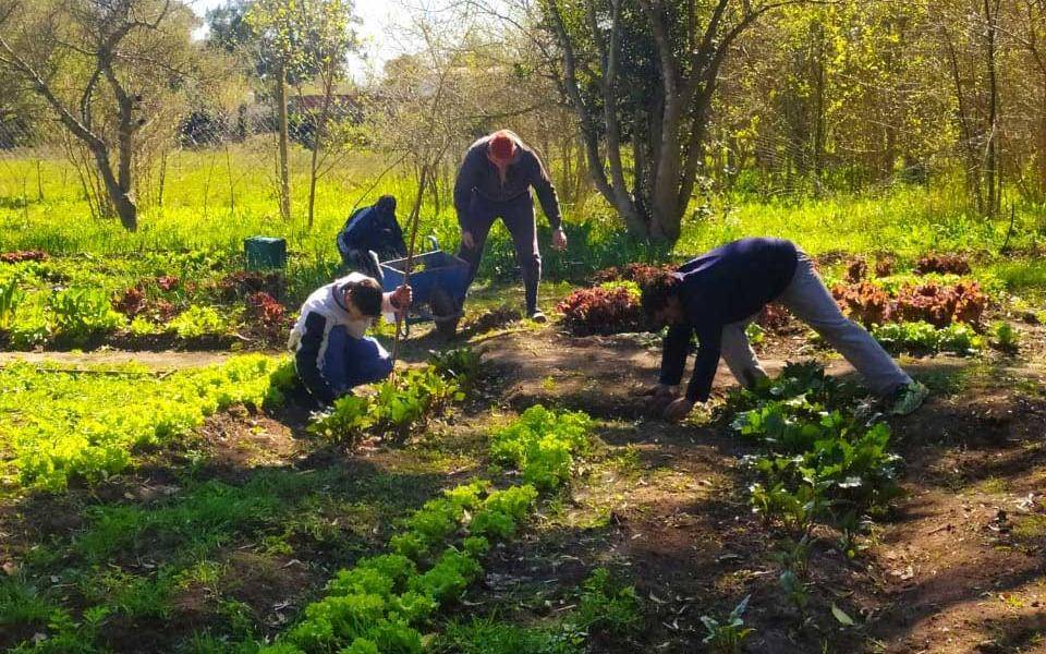Una huerta, puente solidario para la recuperación de adicciones
