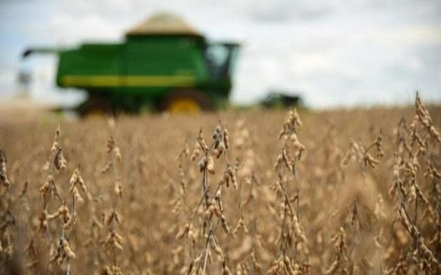 El campo rompió una marca histórica en agosto: liquidó U$S 3.300 millones
