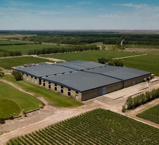 Bodega Del Fin del Mundo presentó la nueva imagen y estilo de vinos de la línea FIN Single Vineyard