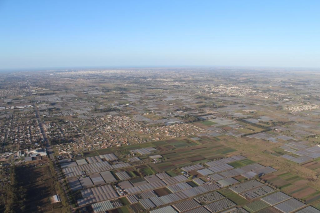 La producción en jaque: advierten por efectos de la presión urbana sobre el cordón hortícola