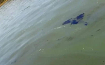 Contaminación en el Río Paraná por un derrame de combustible