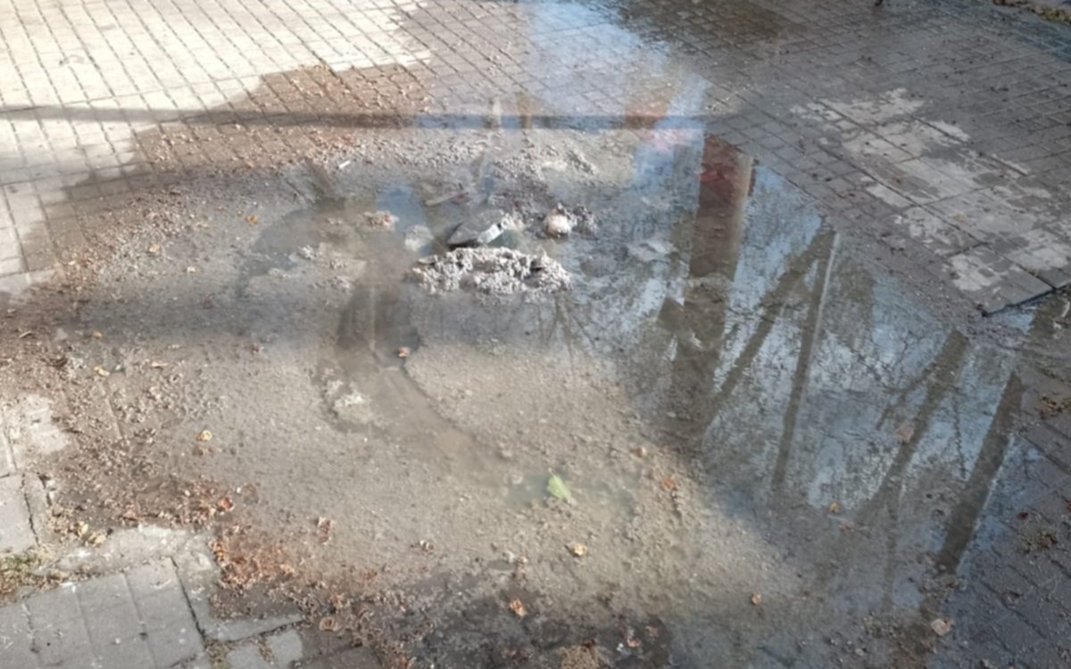 En 115 y 46 afirman que están "expuestos a la contaminación" por un desborde cloacal