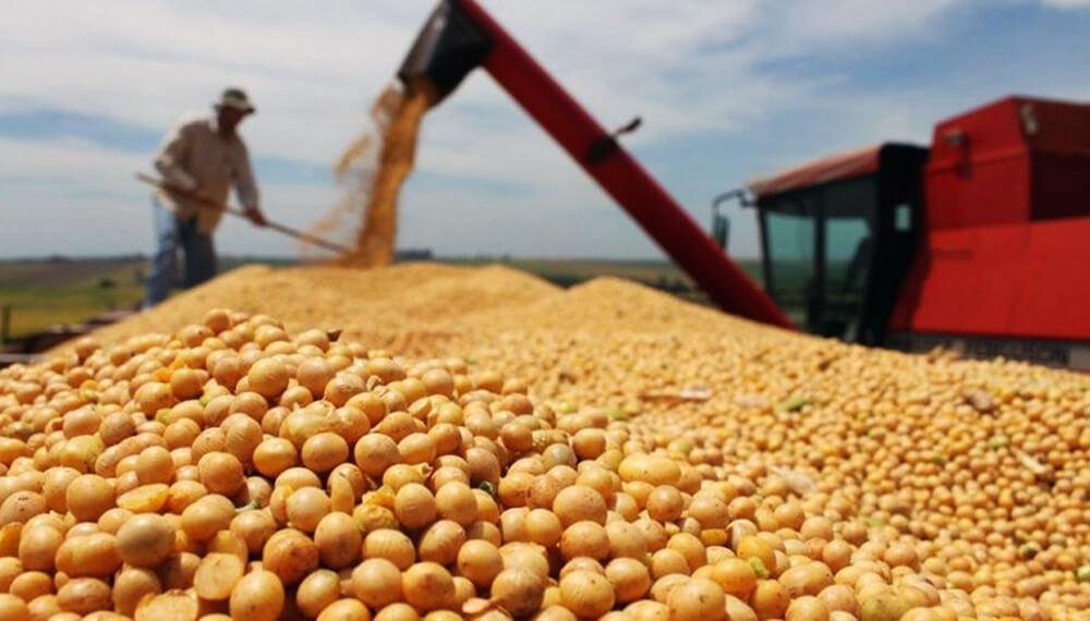 Por la soja liquidaron en 5 días U$S2.200 millones