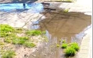Vecinos de 66 y 149, solicitan la inmediata reparación de una pérdida de agua