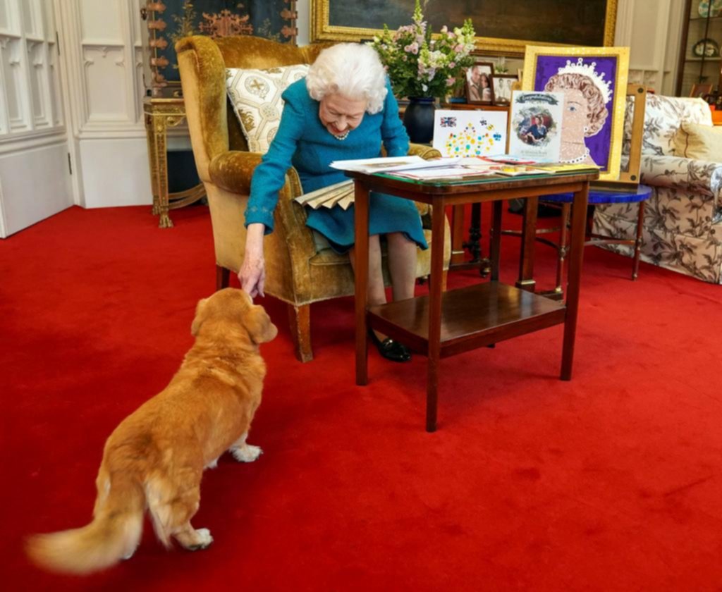 Los perros corgis se quedarán con el príncipe Andrés