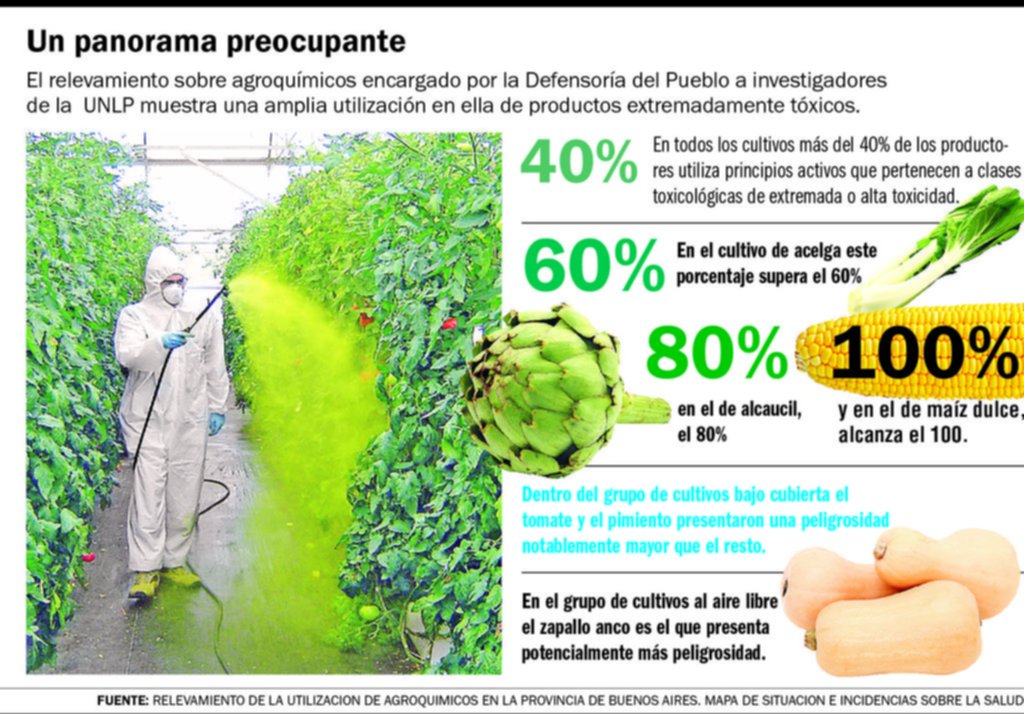 Agroquímicos en alimentos: advierten que hay que revisar sus límites