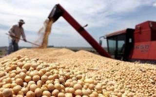 Dólar soja: "El Gobierno no puede extender esta herramienta a otros sectores porque es devaluatoria"